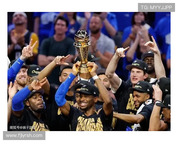 11月17日NBA最佳球员评选结果揭晓精彩表现引发热议